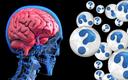 Uaktualnienie wiedzy - główny cel zjazdu Polskiego Towarzystwa Neurologicznego