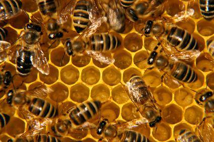 fot. istockphoto.com