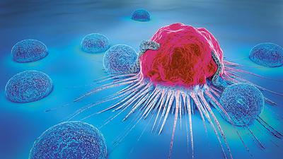 Zdaniem onkologów, możliwości leczenia chorych na nowotwory za pomocą immunoterapii będą coraz szersze. Prowadzone obecnie badania kliniczne potwierdzają skuteczność nowych cząsteczek oraz odnajdują możliwość stosowania wykorzystywanych już leków w innych chorobach nowotworowych.
