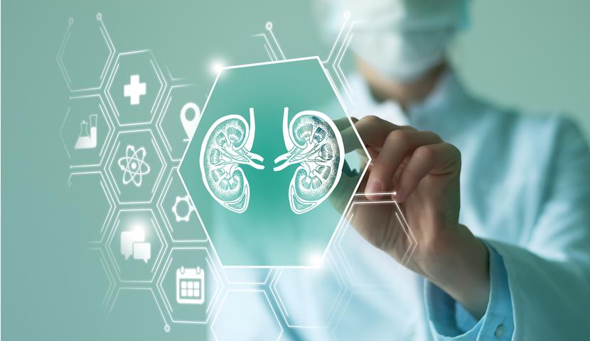 Zgodnie z rozwiązaniem przyjętym przez rząd 9 maja 2023 r. Narodowy Program Transplantacyjny (NPT) określa zadania tylko na 2023 r., zachodzi zatem konieczność ich określenia na kolejny rok.