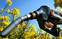 Europejscy producenci biodiesla skarżą się na Polskę