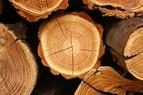 Drewno droższe niż kiedykolwiek w historii