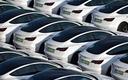Tesla zwiększa w Europie przewagę nad Volkswagenem i producentami z Chin