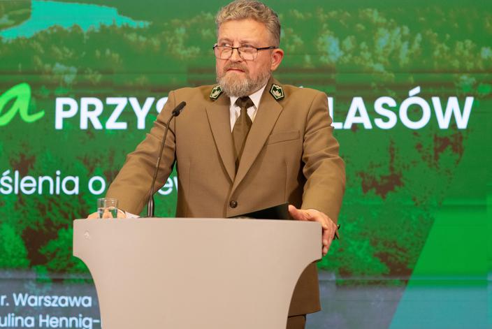 Koss na szczycie lasów
