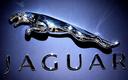 Jaguar Land Rover chce zatrudnić zwalnianych z Twittera i Facebooka