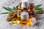 Wyprodukowana w Polsce medyczna marihuana wkrótce będzie dostępna w aptekach