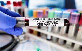 WHO: nowe szczepionki przeciw Covid-19 powinny być ukierunkowane tylko na warianty XBB