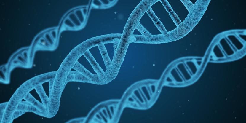 Do onkologii coraz śmielej wchodzą badania Next-Generation Sequencing (NGS), czyli sekwencjonowanie nowej generacji, które umożliwia uzyskanie nawet całego genomu. Do onkologii coraz śmielej wchodzą badania Next-Generation Sequencing (NGS), czyli sekwencjonowanie nowej generacji, które umożliwia uzyskanie nawet całego genomu.