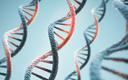 Naukowcy odczytali tysiące krótkich sekwencji genetycznych. Czy to droga do nowych sposobów leczenia?