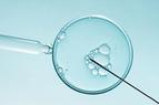 Powołano zespół ds. opracowania programu in vitro
