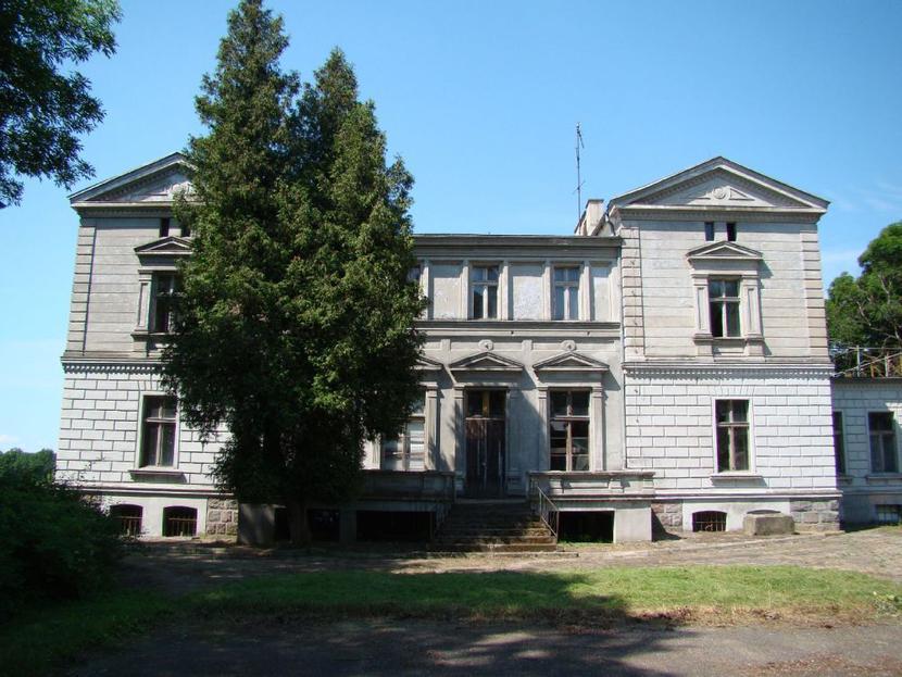 Zabytkowy kompleks pałacowo-parkowy z 1863 r. położony niedaleko miejscowości Nakło nad Notecią w województwie kujawsko-pomorskim wystawiony został na sprzedaż za 750 tys. zł.