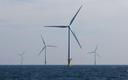 Polenergia chce mieć pierwszą morską farmę wiatrową na Litwie