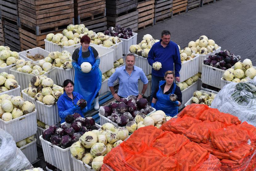Warzywa na śmietnik