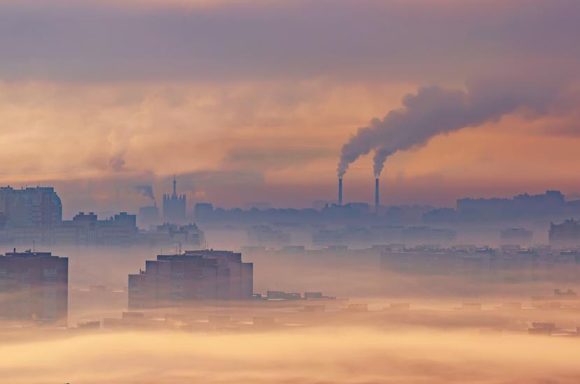 Koszty i dopłaty: Koszty i dopłaty: