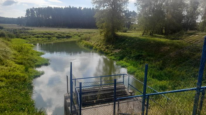Źródło Poznania: