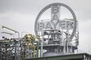 Bayer zawiesza działalność gospodarczą w Rosji i Białorusi