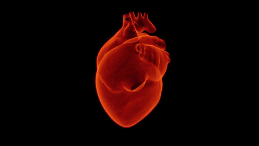 Przed uruchomieniem programu lekarze będą brali udział w szkoleniach technicznych
dotyczących poprawnego używania plastra EKG oraz przekazywania pomiarów na platformę DOM za pomocą aplikacji mobilnej - zapowiada MZ w uzasadnieniu projektu. Przed uruchomieniem programu lekarze będą brali udział w szkoleniach technicznych
dotyczących poprawnego używania plastra EKG oraz przekazywania pomiarów na platformę DOM za pomocą aplikacji mobilnej - zapowiada MZ w uzasadnieniu projektu.