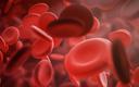Cząsteczki uwalniane przez czerwone krwinki są skutecznymi nośnikami immunoterapii w raku piersi [BADANIA]