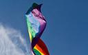 PTS o zdrowiu homoseksualistów