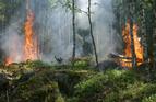 Narażenie na pożary lasów zwiększa ryzyko zachorowania na raka