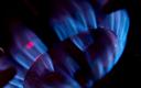 Europa stoi w obliczu „bezprecedensowego ryzyka” niedoboru gazu