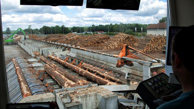 W Polsce, której 30 proc. powierzchni zajmują lasy, i która eksportuje coraz więcej drewna do Chin, przetwórcy tego surowca mają takie trudności z jego nabyciem, że importują go z krajów ościennych. Na dłuższą metę, taka sytuacja grozi zapaścią branży, będącej jednym z motorów krajowej gospodarki. [FOT. ARC]