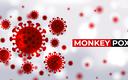 WHO: są oznaki spowolnienia epidemii małpiej ospy w Europie