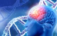 Zidentyfikowano 13 nowych mutacji genów związanych z chorobą Alzheimera
