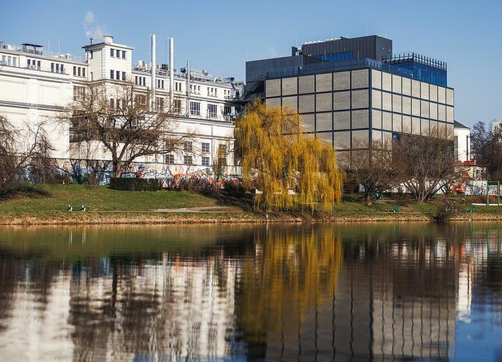 Muzeum czekolady na warszawskim Kamionku obchodzi pierwsze urodziny