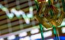 Grenevia wnosi do spółki zależnej dopłaty w wysokości 200 mln zł