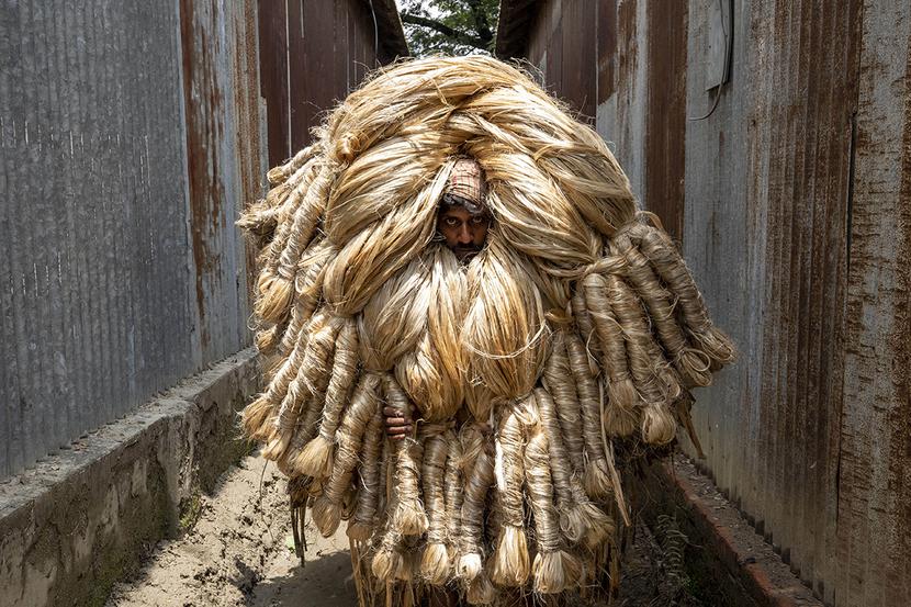 Manikganj, Bangladesz. Seria unikatowych zdjęć mężczyzn przenoszących 50-kilogramowe wiązki wełny na odległość do 300 metrów. Fotograf, 35-letni Azim Khan Ronnie z Dhaki w Bangladeszu, powiedział: „Robotnicy nosili wiązki wełny, z której robiono tkaniny do owijania bel surowej bawełny, worki i grube tkaniny. Włókna są również wplatane w zasłony, krzesła, wykładziny, dywany, torby, dywaniki, tkaniny jutowe i podkład do linoleum”.
