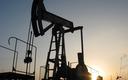 Niepokojąco duży wzrost zapasów ropy naftowej w USA