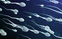 Naukowcy opracowali hormonalny żel antykoncepcyjny dla mężczyzn