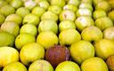 Polskie jabłka dotarły do Singapuru i Indii zepsute