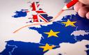 Niemal jedna czwarta brytyjskich małych eksporterów wstrzymała handel z UE