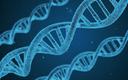 Naukowcy z UW opracowali nową metodę badania ważnych biologicznie struktur DNA