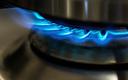 Dostawy gazu z Rosji umacniają euro przed posiedzeniem EBC
