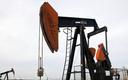 MAE: nadmiar ropy będzie likwidowany do końca 2021 roku