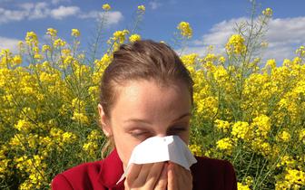 Niebawem nawet połowa Polaków może cierpieć na alergię. Pomoże diagnostyka molekularna?