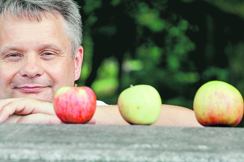 CHCĄ WSPÓŁPRACOWAĆ: