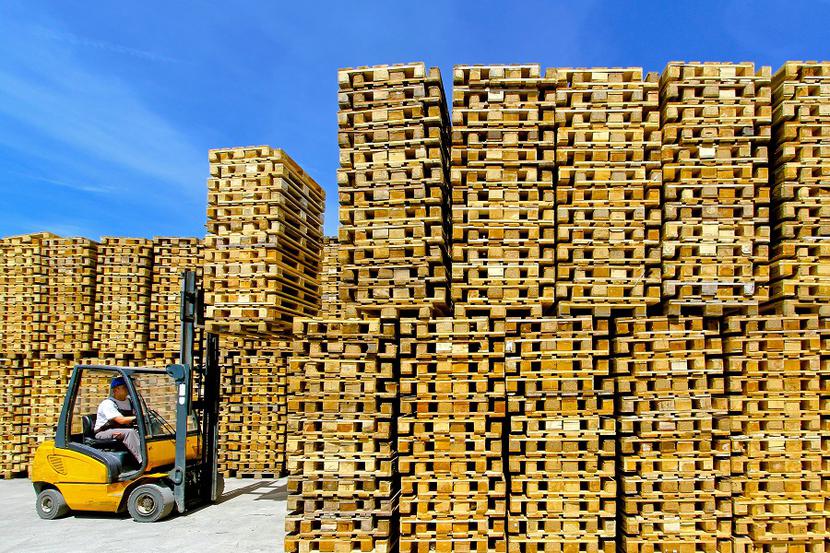 Na dużą skalę:Palko sprzedaje rocznie 7 mln palet drewnianych i jest jednym z największych producentów w Polsce. Najnowszy produkt to palety w technologii Przemysł 4.0 ze specjalnymi znacznikami.