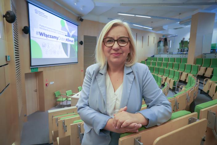 Energetyczne przetasowania: Energetyczne przetasowania: