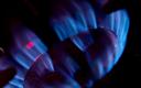 Trafigura: Europa może uniknąć problemów z gazem w tym i przyszłym roku