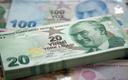 Bank centralny Turcji obniżył stopę o 100 pkt. bazowych
