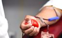 Osoby, które 14 grudnia honorowo oddadzą krew, otrzymają w prezencie choinkę