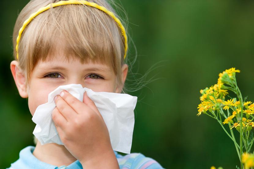 Szacuje się, że w polskiej populacji, podobnie jak w populacji europejskiej, alergia wziewna dotyka od 10 do 20 proc. dzieci. Szacuje się, że w polskiej populacji, podobnie jak w populacji europejskiej, alergia wziewna dotyka od 10 do 20 proc. dzieci.