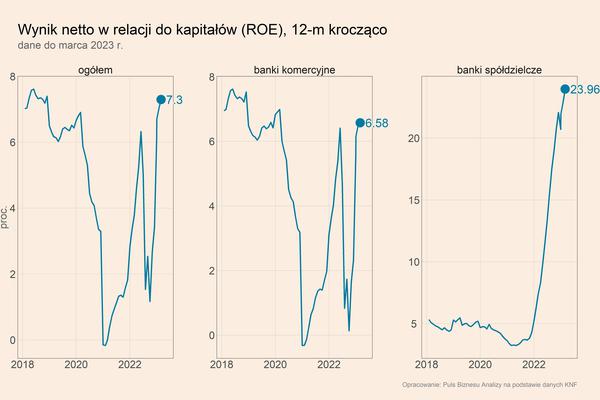 Banki w Polsce: bardzo wysokie zyski, bardzo dużo ryzyk