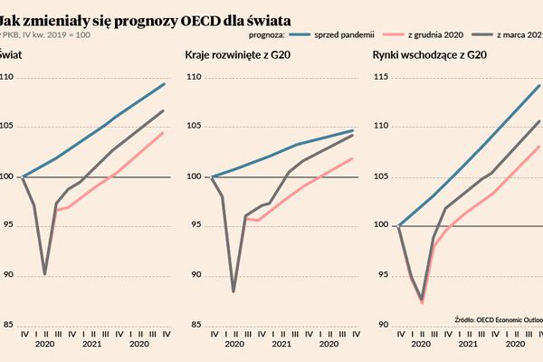 Trzy powody podniesienia prognoz przez OECD