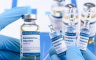 Marszałek Senatu o programie szczepień przeciw COVID-19: Budowane są "brygady szczepienne", a szczepić mogliby farmaceuci