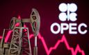 Decyzja OPEC+ bez realnego wpływu na ceny ropy naftowej